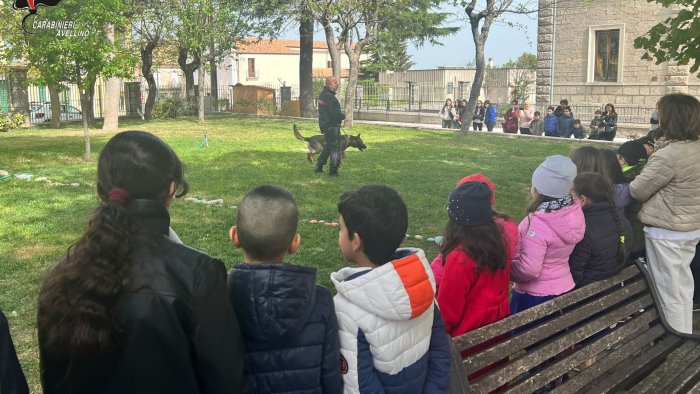 neo il cane carabiniere protagonista di una giornata al de sanctis