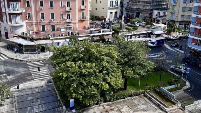 Napoli, piazza Muzii: la statua di Salvator Rosa nascosta dagli alberi ...