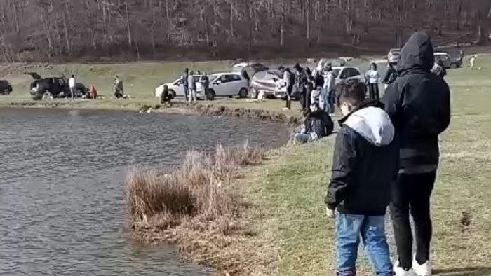 campo maggiore scempio annunciato l accusa delle associazioni ambientaliste