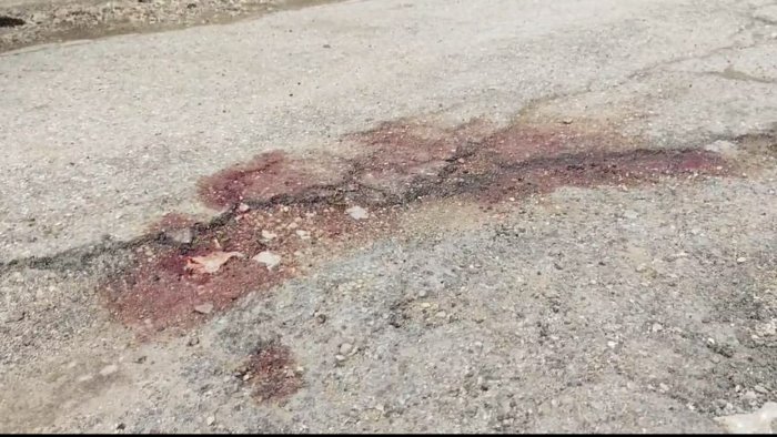 capaccio 15enne trovato in una pozza di sangue escluso il pestaggio