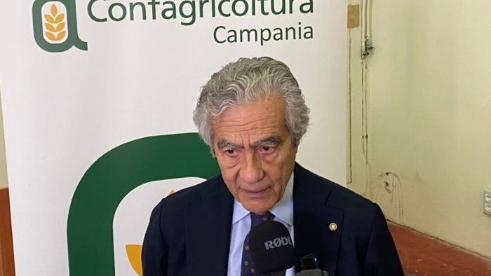 vino e futuro la campania protagonista al vinitaly 2025