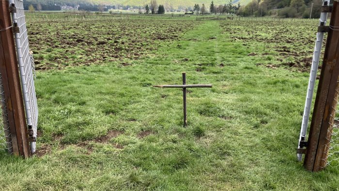 laceno minacce e mistero pali recisi e una croce intimidatoria foto