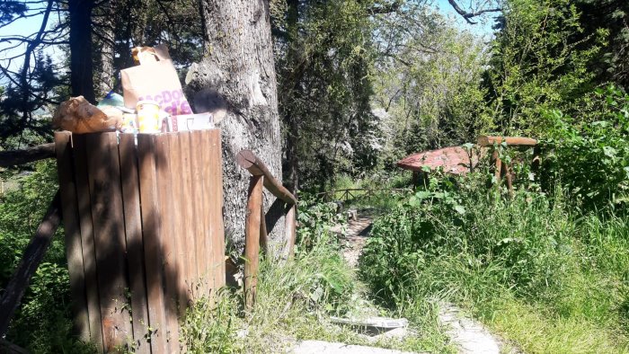 ariano boschetto pasteni irriconoscibile un area verde da sempre sventurata