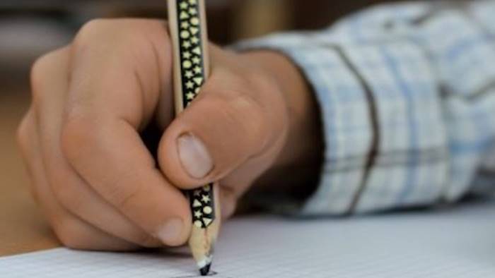 educatrici senza stipendio il caso arriva in parlamento