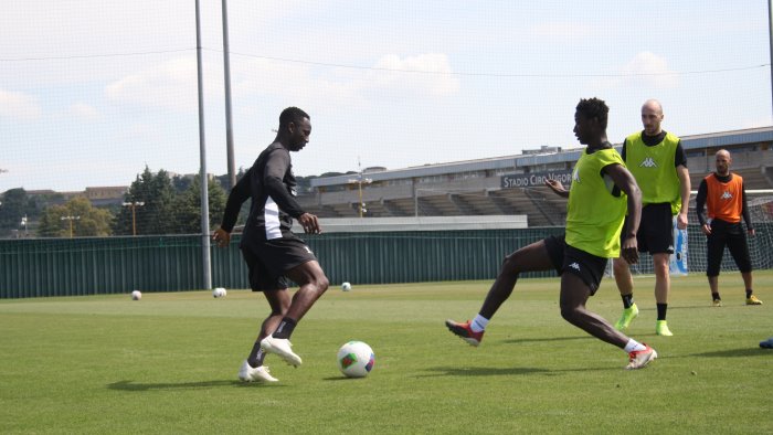 benevento gia iniziati gli allenamenti collettivi foto