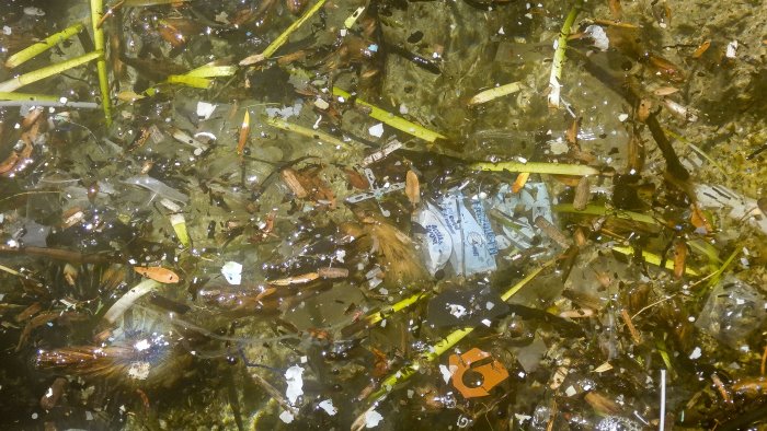 paestum volontari e migranti a ripulire le spiagge