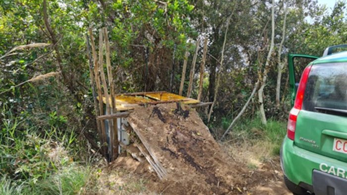 maiori scoperta trappola per animali tra la vegetazione