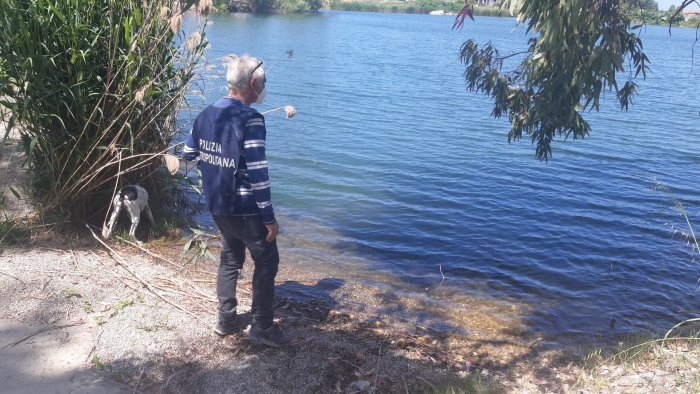 castel volturno sequestrati cantieri navali