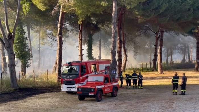 capaccio incendio devasta parte della pineta di paestum