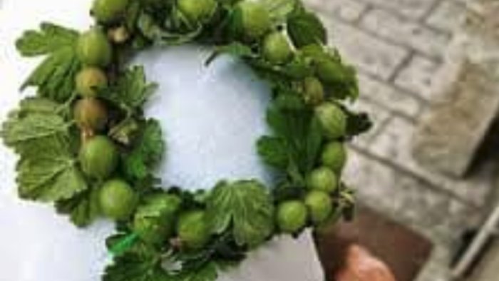 conza e sant andrea di conza riecco la festa delle maggiaiole