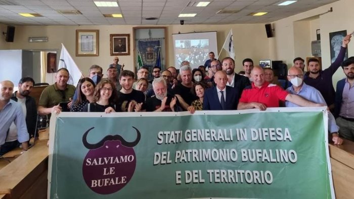 vertenza bufala appello ai sindaci a tornare in campo al fianco delle comunita