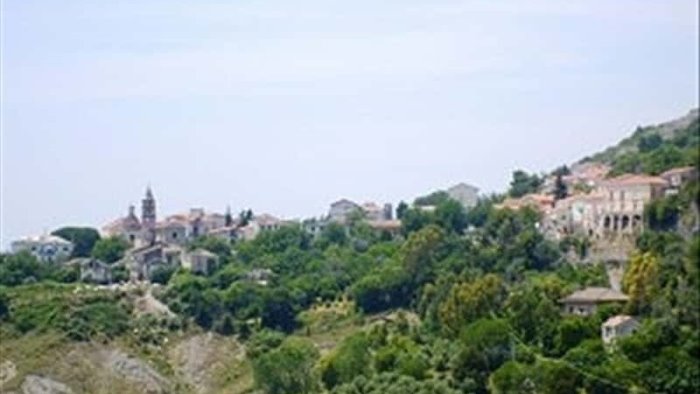 montecorvino pugliano furto sventato in un discount dalla vigilanza privata