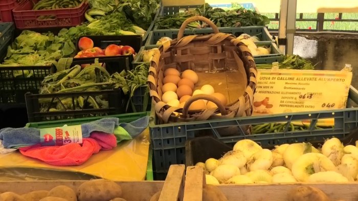 polo della dieta mediterranea la scommessa parte dalla valle ufita