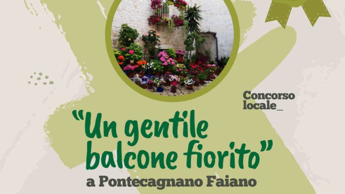 pontecagnano si colora con il concorso un gentile balcone fiorito