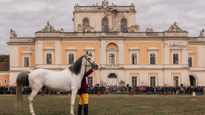 torna la festa dell ascensione nel real sito di carditello