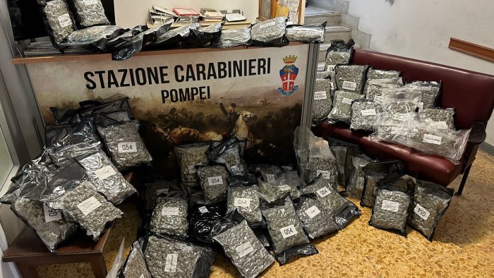 40 chili di droga nel garage arrestato insospettabile a pompei