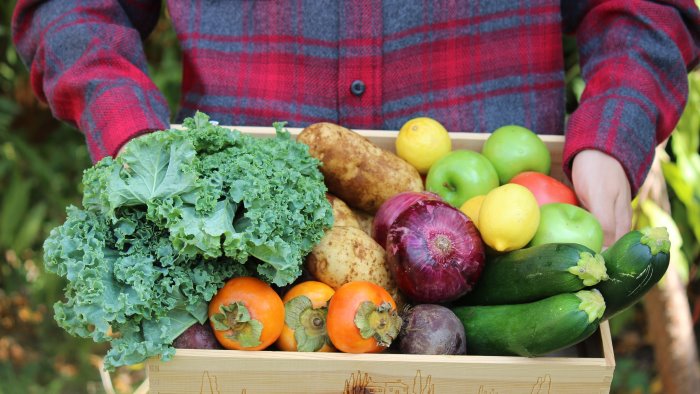 mercati della terra a somma vesuviana aspettando l arrivo del giro d italia