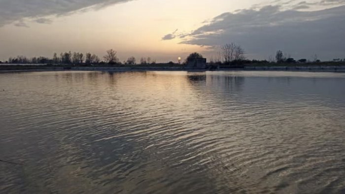 settimana della bonifica e dell irrigazione 2024 l acqua ci nutre e da la vita