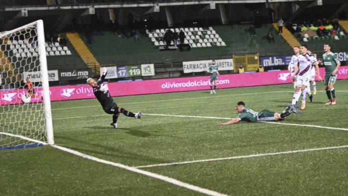 avellino catania le probabili formazioni lupi obbligati alla vittoria