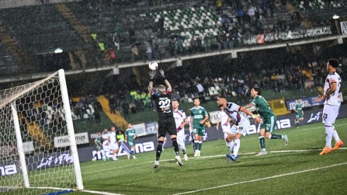 avellino catania 2 1 tabellino e voti dei lupi
