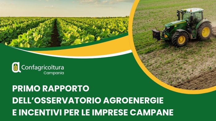primo rapporto dell osservatorio agroenergie e incentivi per le imprese