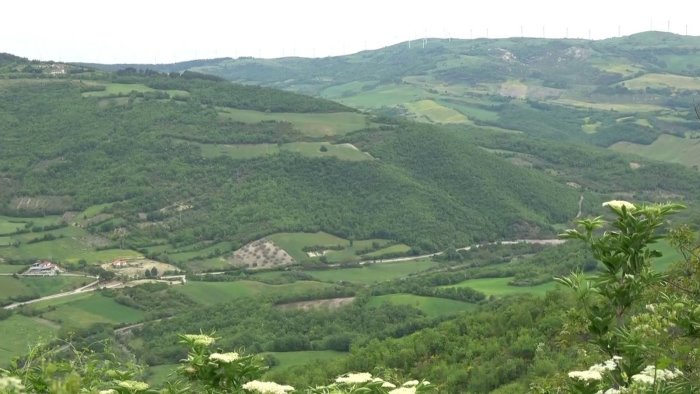 fauna selvatica e protezione degli ecosistemi a rischio c e una minaccia seria