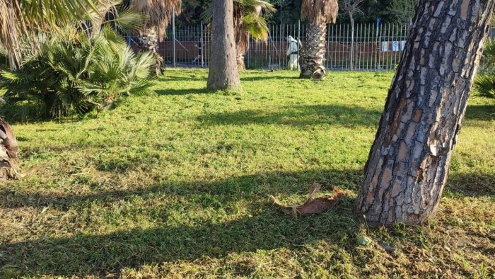 torre annunziata approvato il regolamento sulle aree verdi