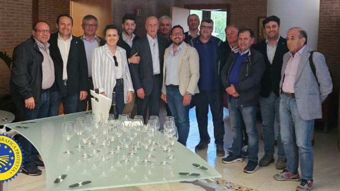 olio extravergine della campania igp nasce un consorzio di tutela