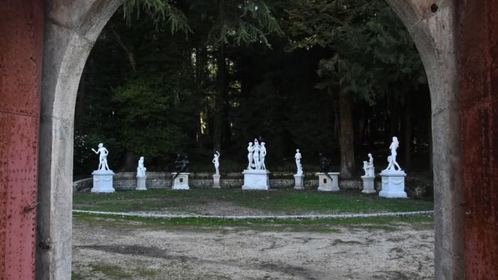 a valva germogli prevenzione bellezza e storie per tutte le eta