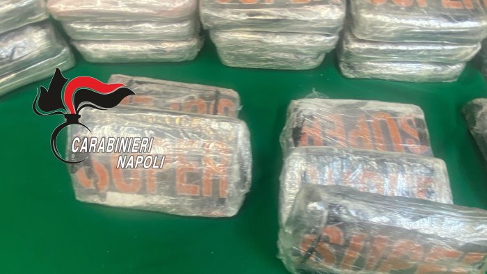 cinque milioni di euro in cocaina pura la scoperta dei carabinieri