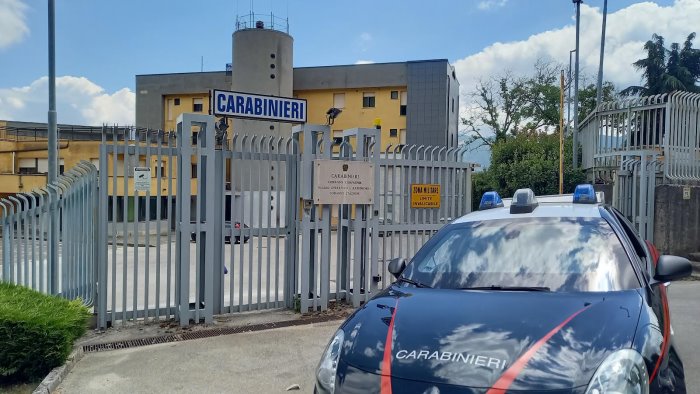 blitz dei carabinieri a cassano irpino multe nell azienda agricola