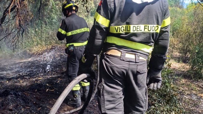 paura nella pineta di eboli incendio tra la vegetazione