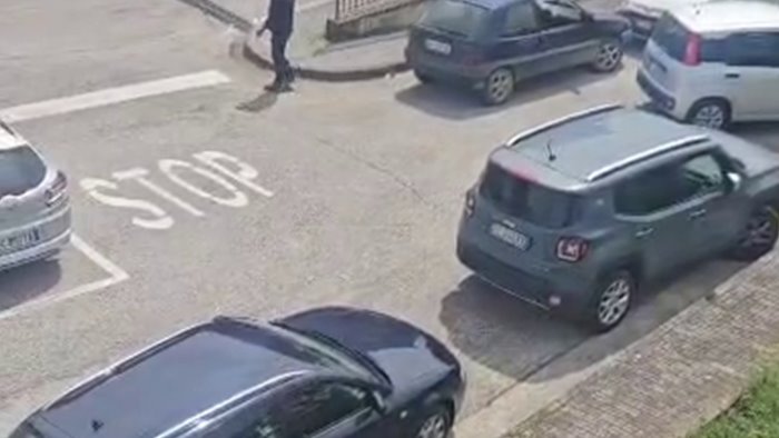 grottaminarda il lupo perde il pelo ma non il vizio