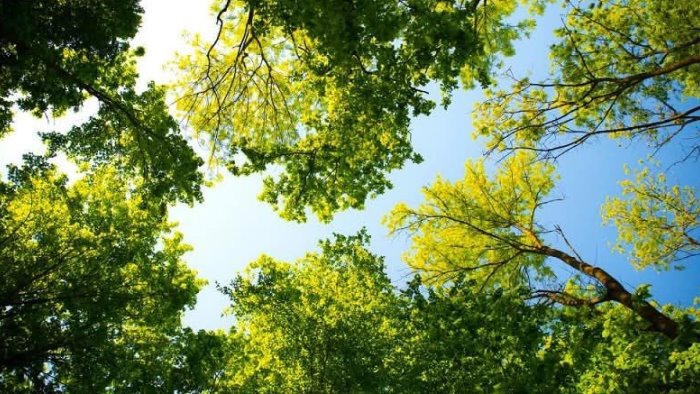 sant agnello al via la realizzazione delle aree destinate al verde