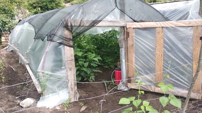 piantagione in montagna arrestati quattro fratelli giffonesi