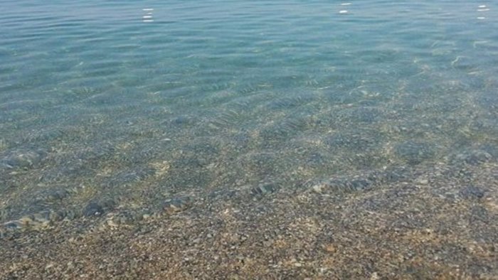 opposizioni unite le nostre spiagge devono restare libere