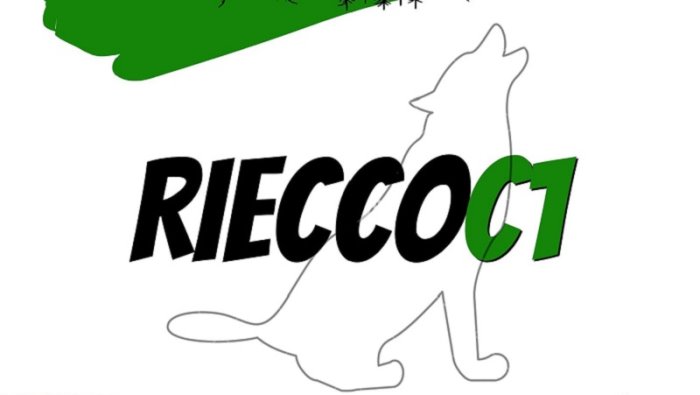 calcio a 5 il cus avellino torna in serie c1