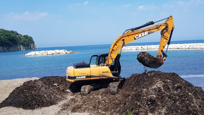 agropoli via la posidonia dal lido azzurro iniziate le operazioni di pulizia