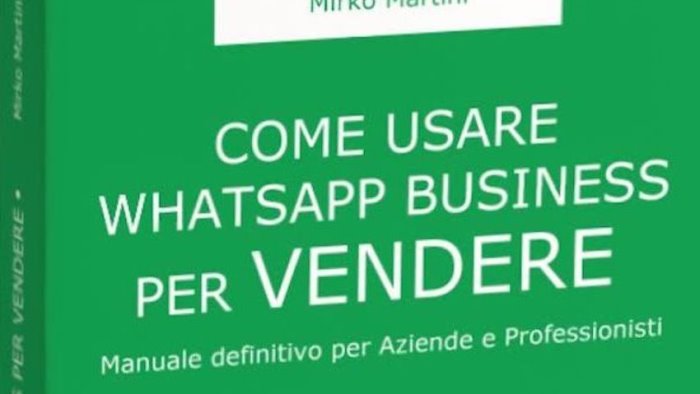 whatsapp business il libro del sannita martini per risollevare il commercio