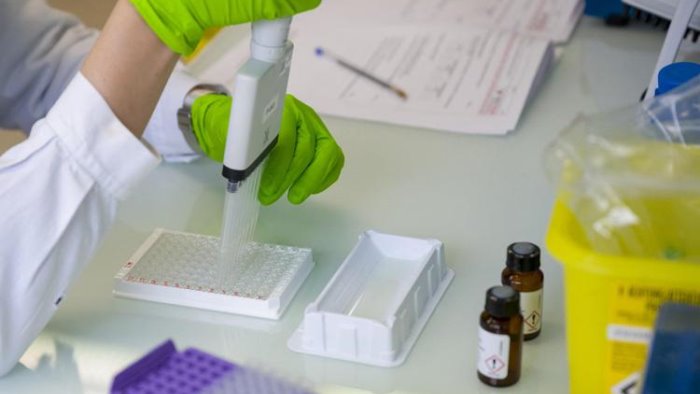 covid scoperte 48 varianti del virus nei laboratori irpini del pascale