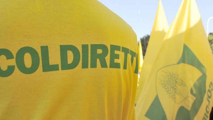 eboli coldiretti avviso pubblico per accedere ai voucher per le donne