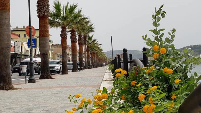 agropoli il lungomare prende vita al via la sistemazione delle piantine