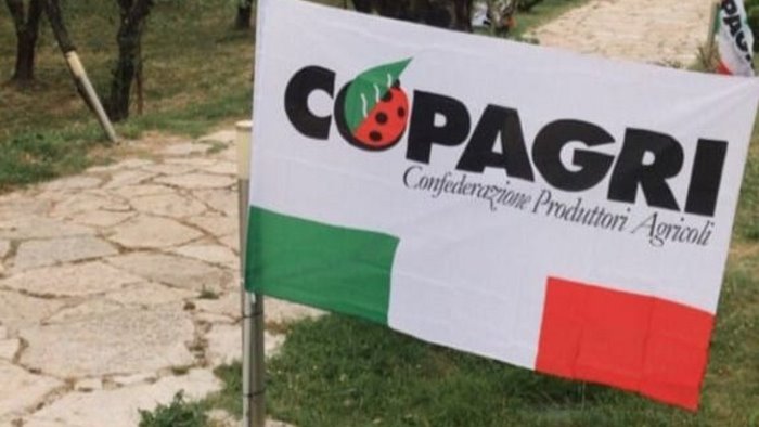 copagri imprenditoria giovanile 14 negli ultimi 5 anni