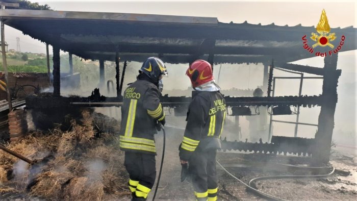 deposito agricolo in fiamme a lapio vigili del fuoco in azione
