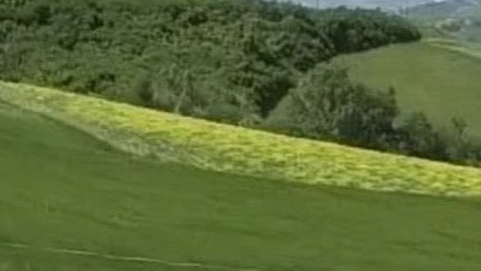 riutilizzo beni confiscati alle mafie parte il progetto nco