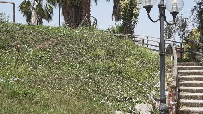 troppe api nel parco urbano di san marzano sul sarno