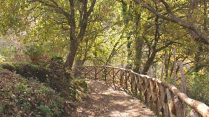 lavori sentieri monte saretto rega bene l iniziativa