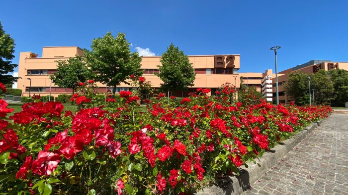 unisa si conferma tra le prime 1000 universita al mondo