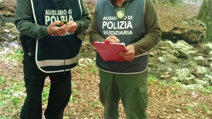 contrasto del bracconaggio e al taglio abusivo di alberi sui monti picentini
