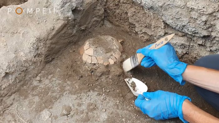 meraviglia pompei ritrovata una tartaruga col suo uovo dopo 2mila anni